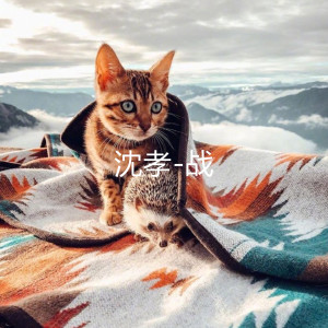 Listen to 战 song with lyrics from 沈孝