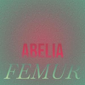 Album Abelia Femur from Various