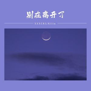 的专辑别在离开了