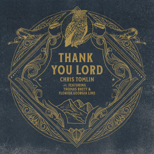 ดาวน์โหลดและฟังเพลง Thank You Lord พร้อมเนื้อเพลงจาก Chris Tomlin