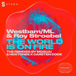 收听Roy Stroebel的The World Is On Fire (MOGUAI Remix)歌词歌曲