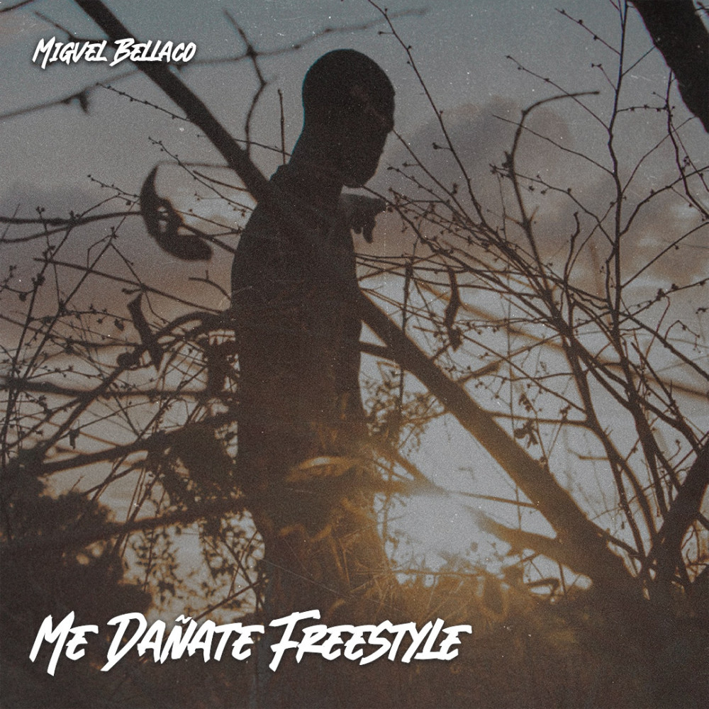 Me Dañate Freestyle (Explicit)
