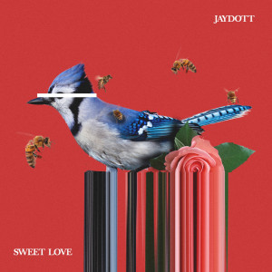 ดาวน์โหลดและฟังเพลง Sweet Love พร้อมเนื้อเพลงจาก Jaydott