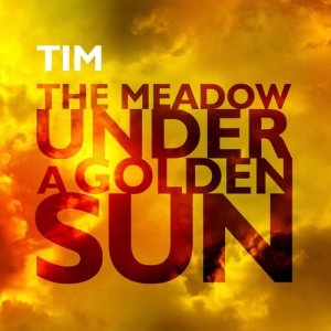 收聽TIM的The Meadow歌詞歌曲