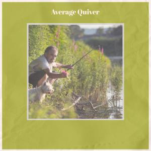 收听Valee Laert的Average Quiver歌词歌曲
