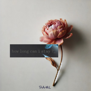 Sharmil的專輯how long can i stay?