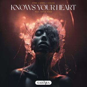 Chloé的专辑Knows Your Heart (feat. David Emde)