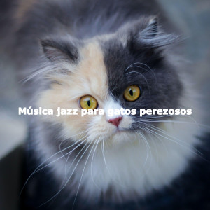 Música jazz para gatos perezosos