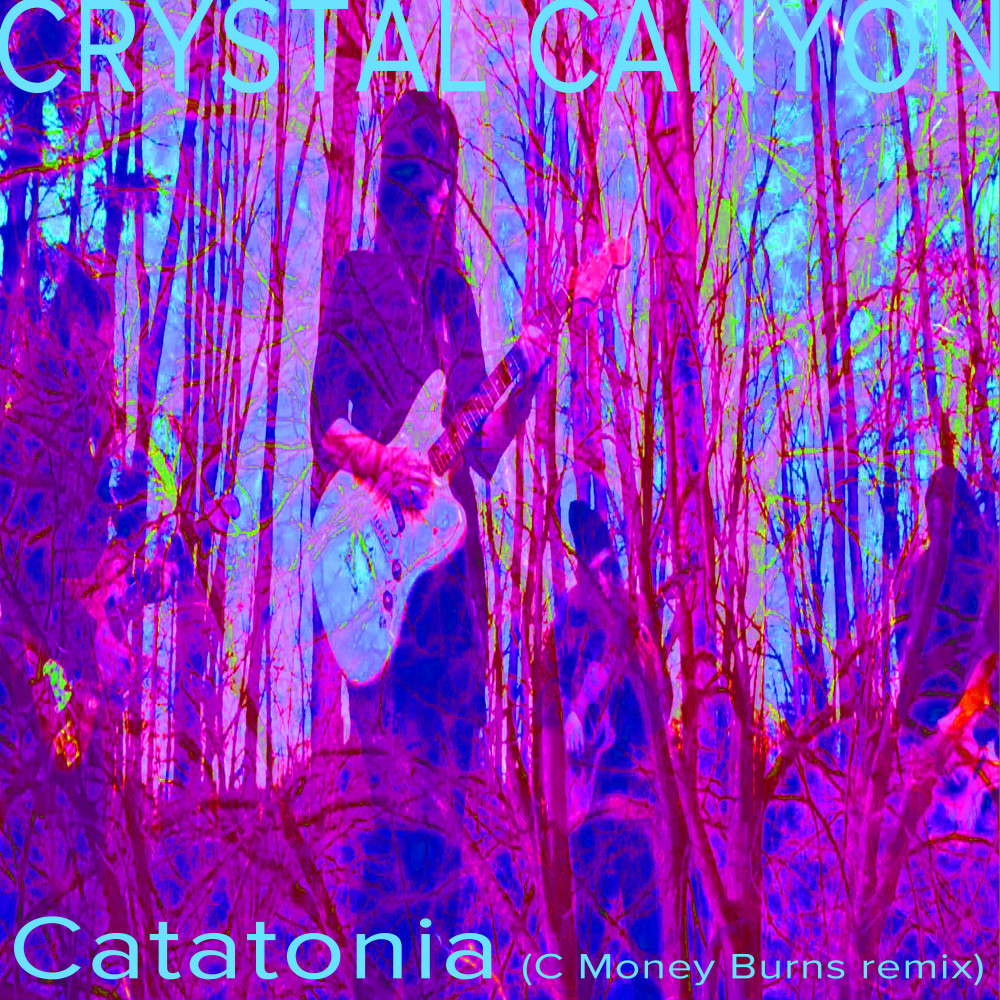 Catatonia (C Money Burns Remix)