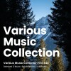 default album img