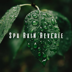 Spa Rain Reverie: Binaural Sounds for Ultimate Serenity dari The Earth Song