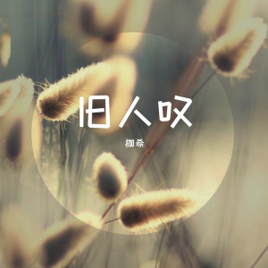 收聽枷希的不如 (Remix)歌詞歌曲