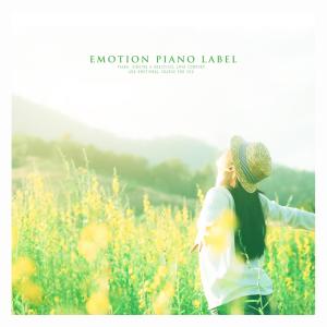 Album Beautiful New Age Piano from Various Artists