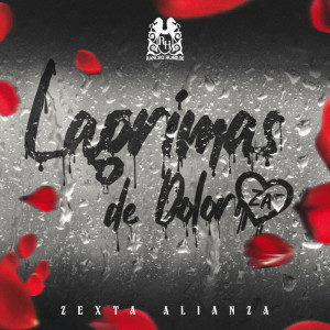收听Zexta Alianza的Si Fuera Por Mi歌词歌曲