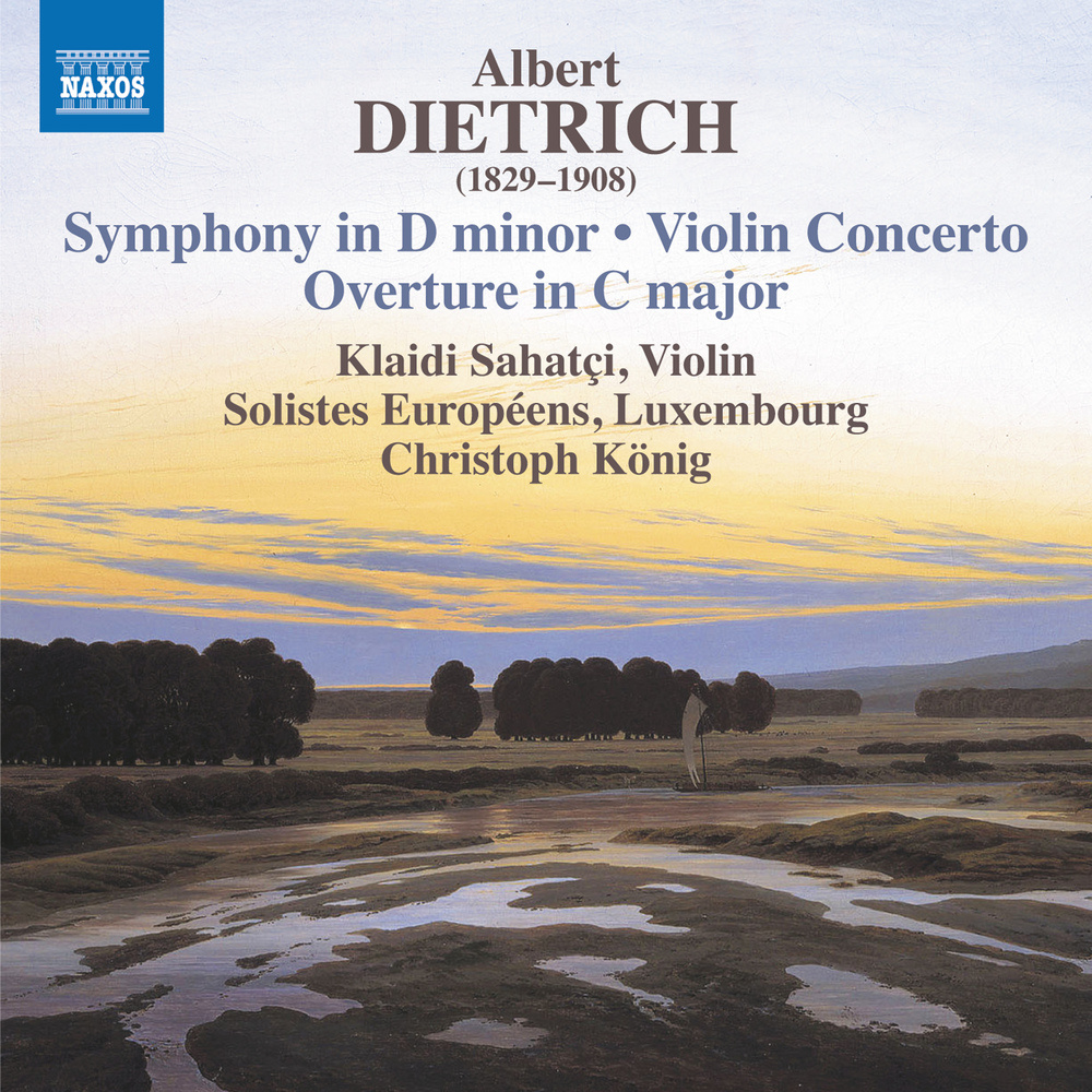Symphony in D Minor, Op. 20: IV. Finale. Allegro