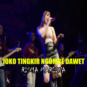 Album Joko Tingkir Ngombe Dawet oleh Risma Marlina
