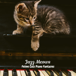 Chill Out Dinner Jazz的專輯Jazz Meows: Feline Cats Piano Fantasies