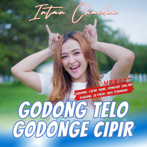 Album GODONG TELO GODONGE CIPIR oleh Intan Chacha