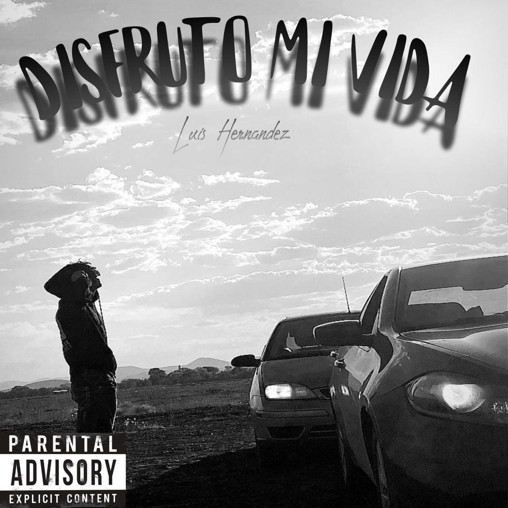 DISFRUTO MI VIDA
