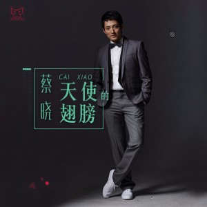 收聽蔡曉的天使的翅膀歌詞歌曲