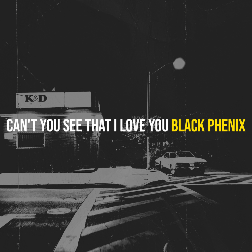 Can't You See That I Love You