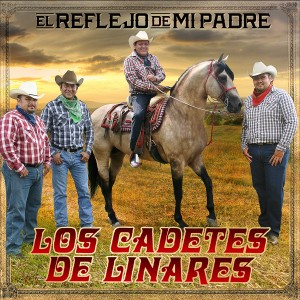 收聽Los Kdt's de Linares de Homero Guerrero Jr.的Un Corazon Amargado歌詞歌曲