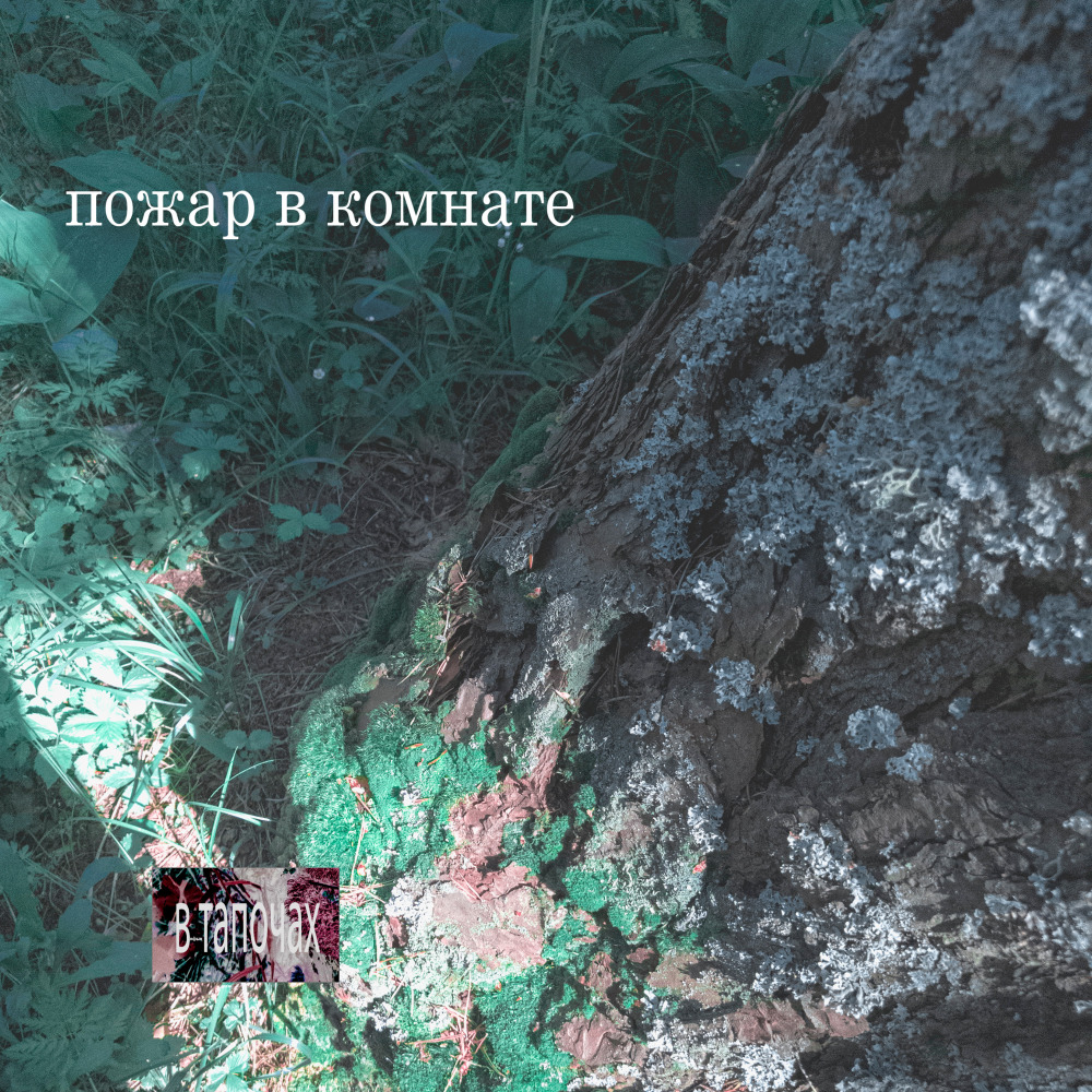 В тапочках