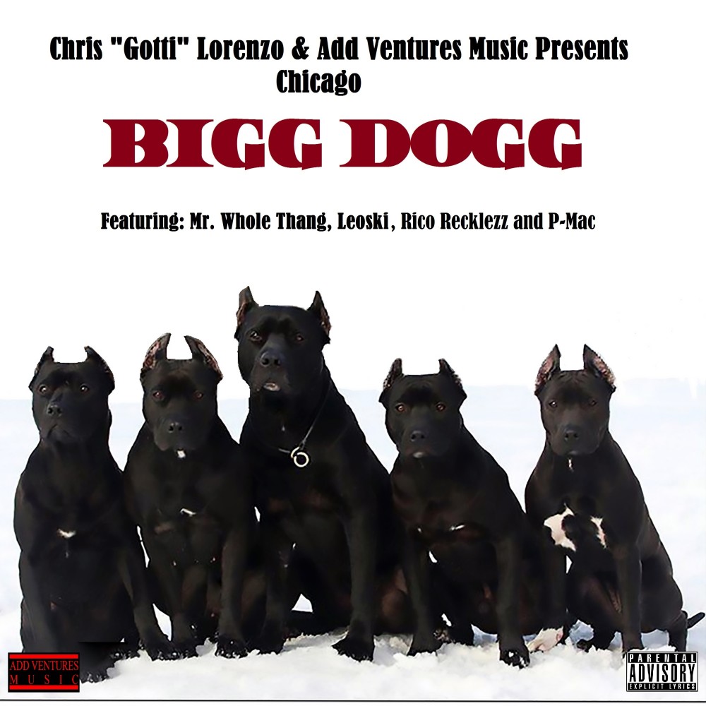 Bigg Dogg - Chicago (Explicit) (Explicit)