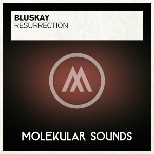 Dengarkan lagu Resurrection (Radio Edit) nyanyian BluSkay dengan lirik