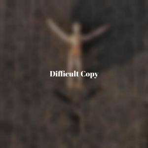 收聽Quen Jaho的Difficult Copy歌詞歌曲