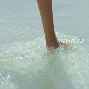 ดาวน์โหลดและฟังเพลง Vividora พร้อมเนื้อเพลงจาก Mestizo zr