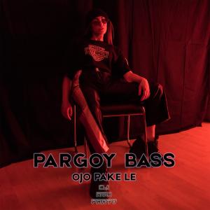 Pargoy Bass Ojo Pake Le dari DJ Ayu Party
