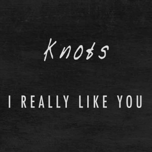 Dengarkan I Really Like You lagu dari KNOTS dengan lirik