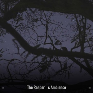 !!!!" The Reaper's Ambience "!!!!