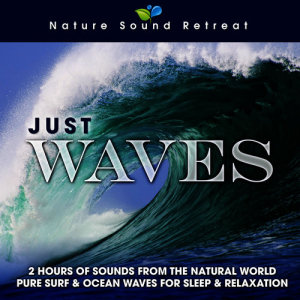 Nature Sound Retreat的專輯Just Waves: 2 Hours of Sounds from the Natural World (Pure Surf & Ocean Waves for Sleep & Relaxation)
