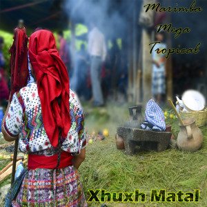 Listen to El Amor de Juanita song with lyrics from Marimba Mega Tropical