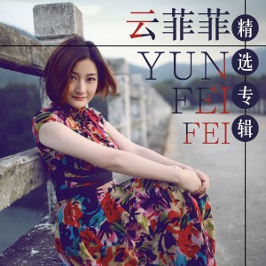 Listen to 伤心城市 song with lyrics from 云菲菲