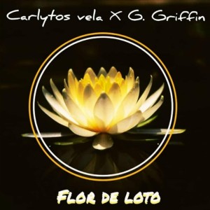 Album Flor de Loto from Carlytos Vela