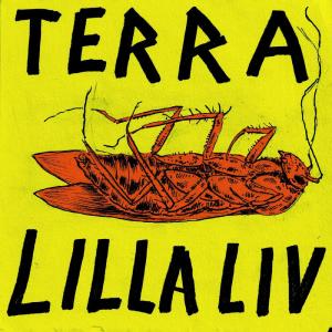 Terra的專輯Lilla liv