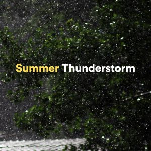 收听Thunder Storm的Thunderstorm Without Direction歌词歌曲