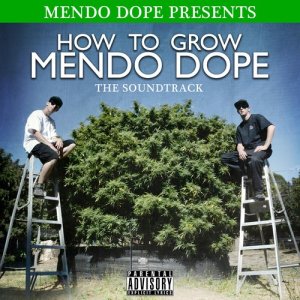 ดาวน์โหลดและฟังเพลง Sun Rays (Live) พร้อมเนื้อเพลงจาก Mendo Dope