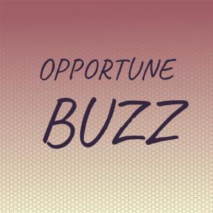 Various Artists的專輯Opportune Buzz