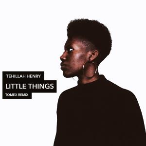 Tehillah Henry的专辑Little Things (Tomex Remix)