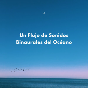 Delta Ondas Puras的专辑Un Flujo De Sonidos Binaurales Del Océano