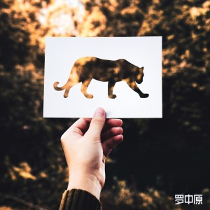 Listen to 期待与你相遇 song with lyrics from 罗中原