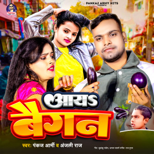 Listen to Aay Baigan song with lyrics from Pankaj Army