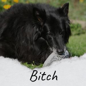 Listen to Earning Lying song with lyrics from Jers Fren