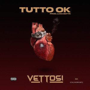 Listen to TUTTO OK (Explicit) song with lyrics from Vettosi