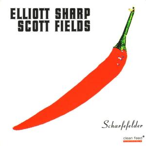 ดาวน์โหลดและฟังเพลง Fried Splash พร้อมเนื้อเพลงจาก Elliott Sharp