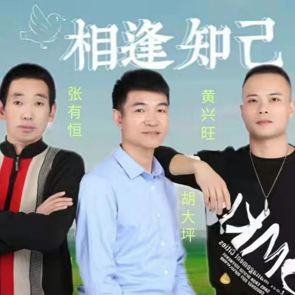 只为见你一面（女版伴奏） (cover: 胡大坪) (其他)
